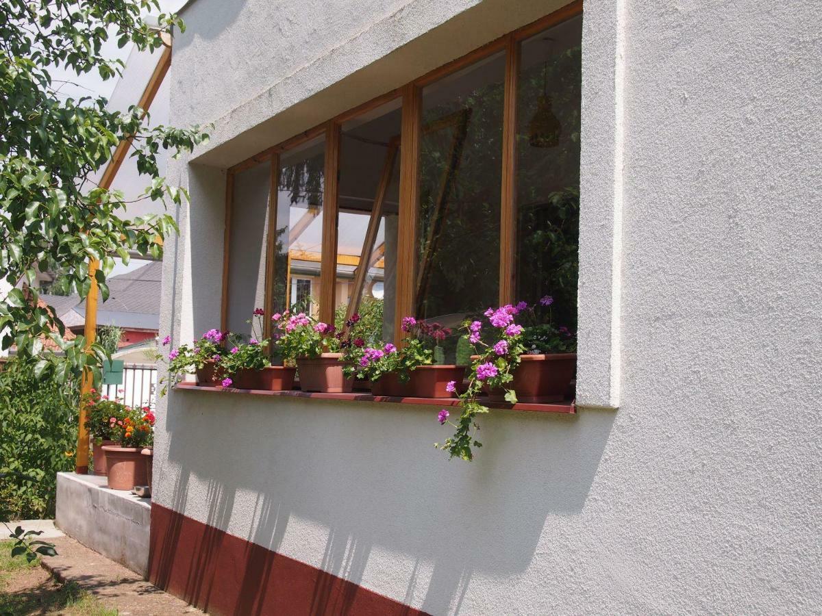 Deel Apartman Nyíregyháza المظهر الخارجي الصورة